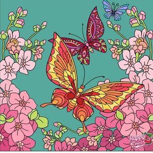 Meet your Posher, Ann